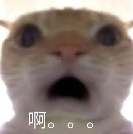 聊天斗图必备！这套带“啊”字的猫咪表情包太好用了