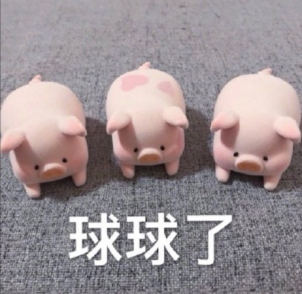 聊天斗图必备！猪猪表情包合集来啦