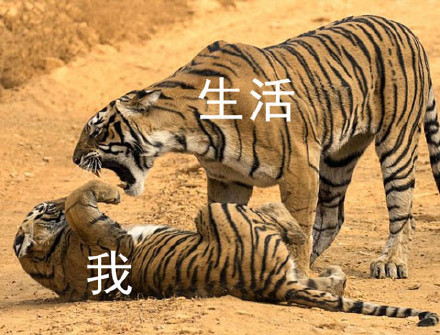打工人、考试党同款！