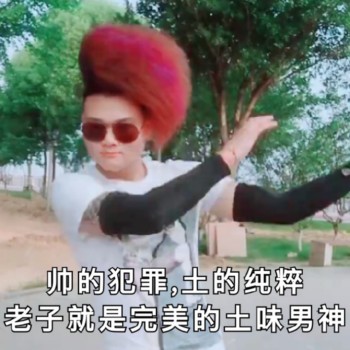 大伙催更的土味表情包来啦