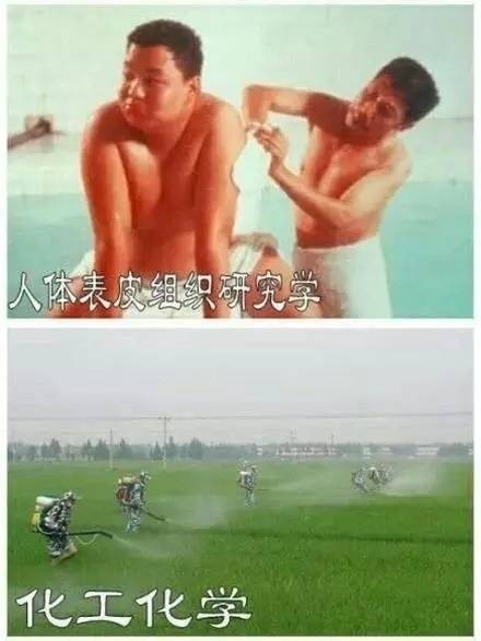 你的专业毕业能做什么？一组对比表情包帮你捋明白