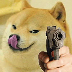 斗图常备！神烦柴犬表情包合集来了