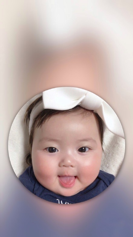 胖熙罗熙手机壁纸合集来了