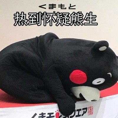 熊本熊热到昏古七！这套夏日表情包太懂打工人了