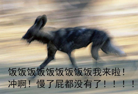 开饭啦！快喊上搭子一起冲去干饭的表情包来啦