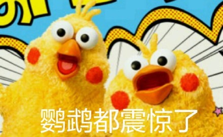 鹦鹉兄弟表情包火了！网友：这明明就是脆皮鸡嘛