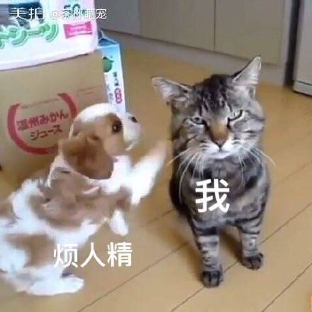 水逆倒霉蛋专属表情包来啦！快来感受下这份扎心共鸣