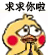 聊天斗图必备！小黄鸡求饶动态表情包合集