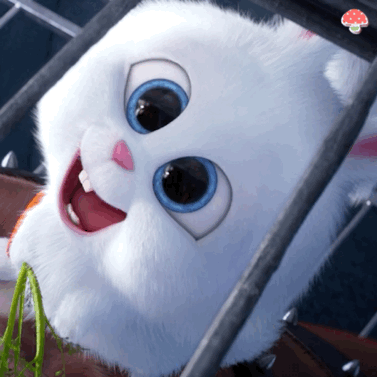 《爱宠大机密》兔子表情包合集来啦