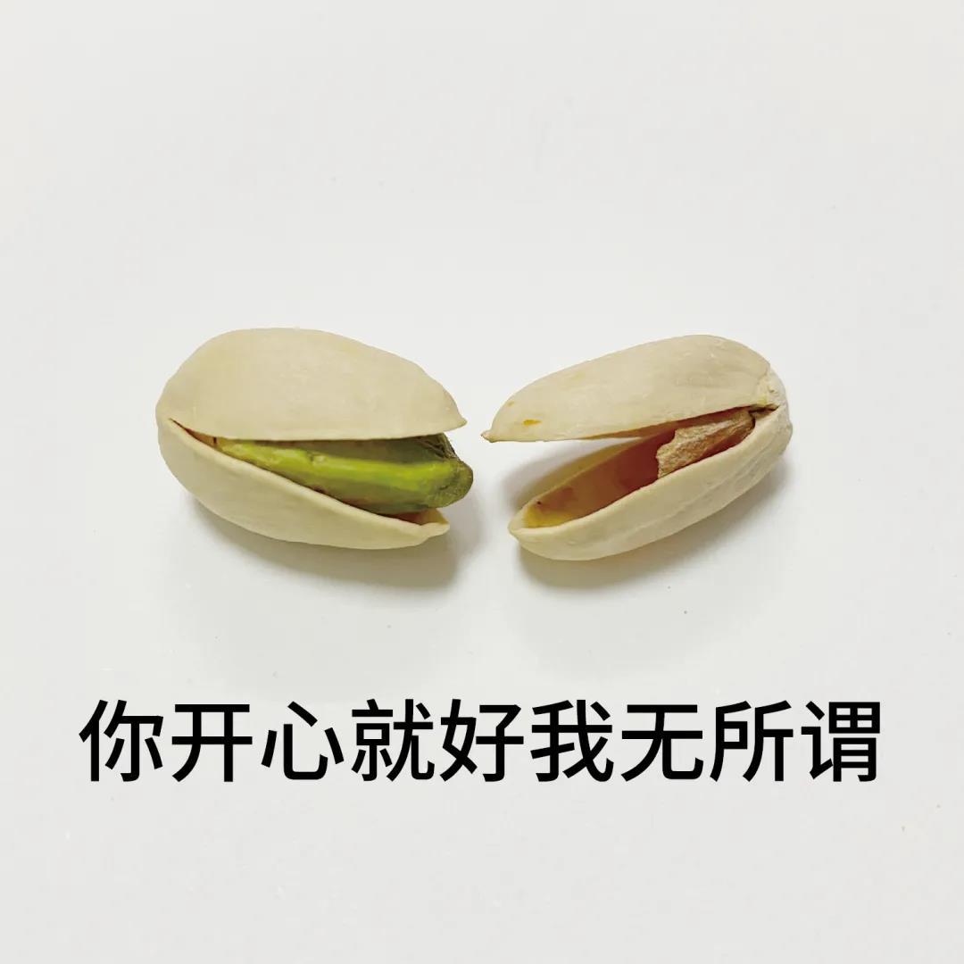 聊天必备！这套开心果表情包太好用了