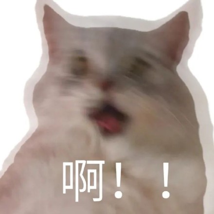 聊天斗图必备！这套带“啊”字的猫咪表情包太好用了