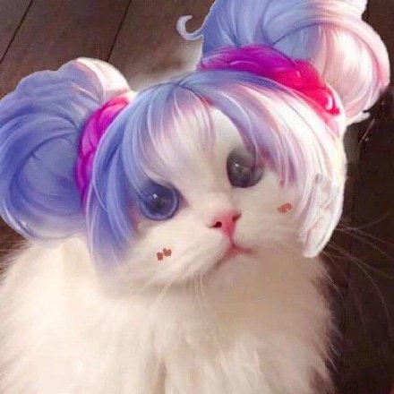 猫咪联名王者荣耀头像合集来啦