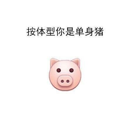 别总说自己是单身狗啦