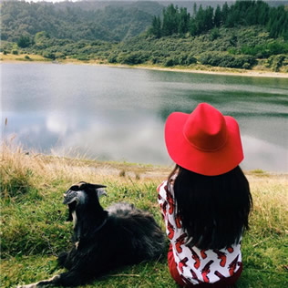 12张霸气冷酷女生背影QQ头像 高清无水印合集