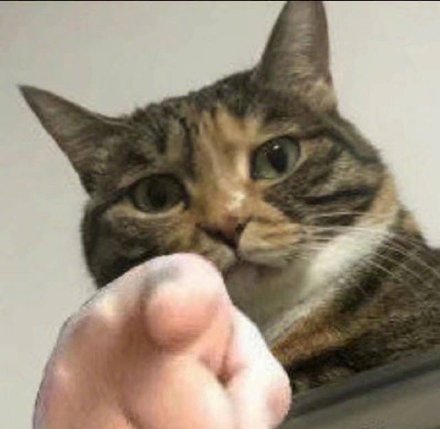 超好用的指人表情包合集来了