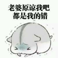 道歉向表情包合集：老婆原谅我吧，都是我的错