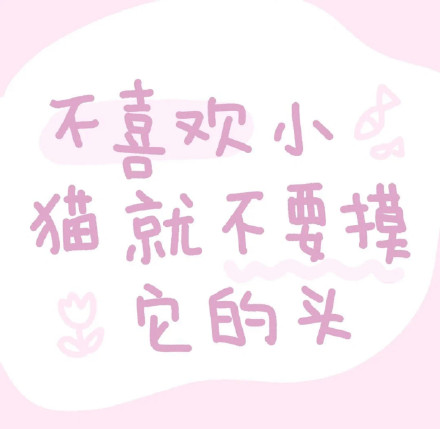 小猫文学表情包来啦 软乎乎治愈感拉满