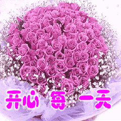 中老年聊天专属表情包合集