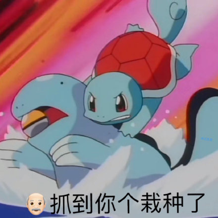 谁还没在用宝可梦斗图？这套神奇宝贝表情包太好用了