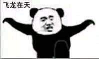 “在下功夫熊猫，请指教