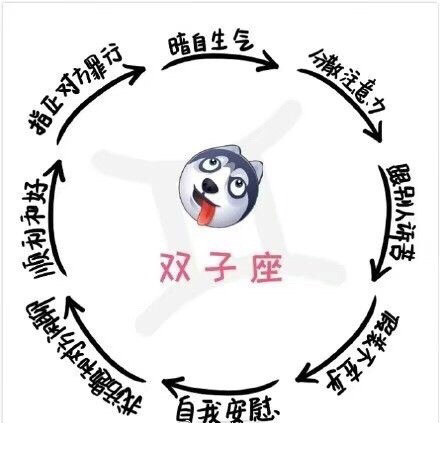 12星座生气时的样子，看完发现全中了？