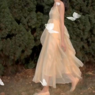 女生穿仙女裙的不露脸半身头像 21张高清图合集