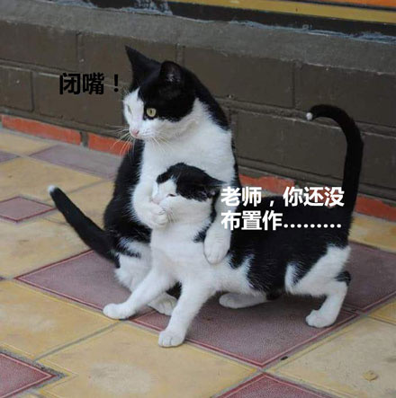 哈哈哈戏精表情包合集来啦