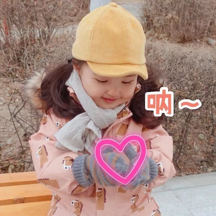 超萌小刚几表情包合集 斗图必备