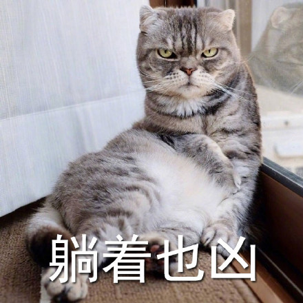 这组猫咪吐舌凶表情包，看完直接笑到打鸣