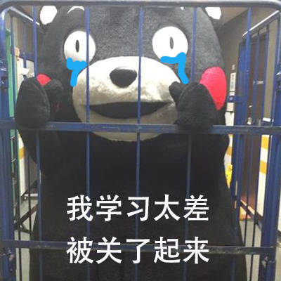 熊本熊被关起来啦 这套表情包太有意思了