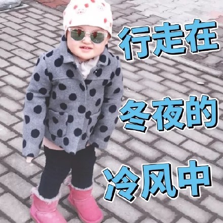 萌娃小刚几聊天表情包合集