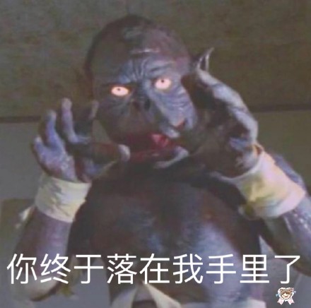 整理好的斗图杂图合集，直接存图就能用