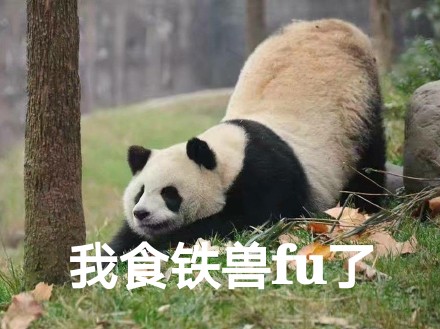 “我服了”表情包上新！动物版“FU”梗太有意思了