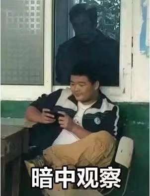 偷偷围观必备！这套暗中观察表情包太好用了