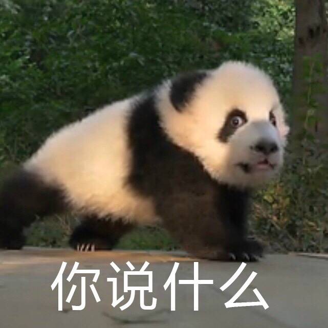 快收下这套熊猫头表情包！