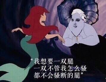 8月31日热门斗图表情包合集来了