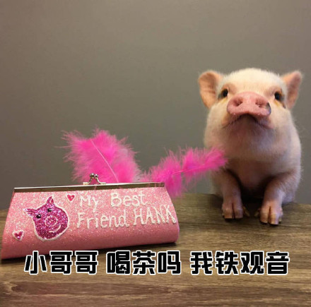 女生主动搭话男生的表情包合集来了