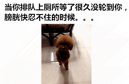 这些日常瞬间的表情包太真实了，最后一个看完直接戳中我