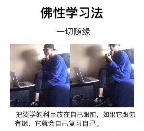 12月28日精选表情包原图来啦