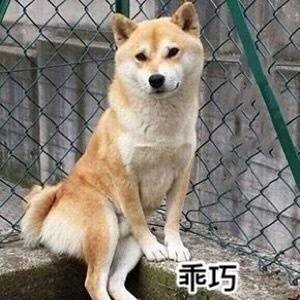 超实用柴犬Doge微信表情包合集