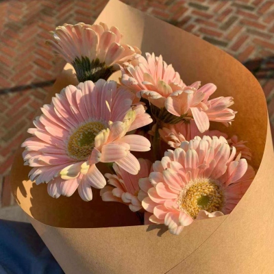 15张治愈感拉满的捧花女孩清新头像｜女生头像合集