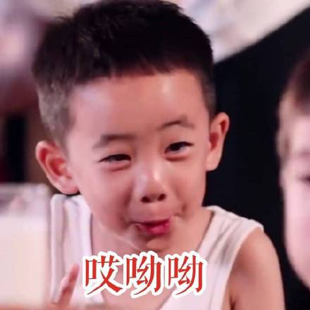 Jasper小小春表情包来啦！软萌模样直接戳中人心