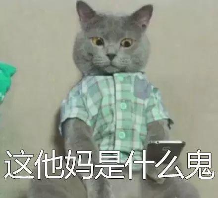 聊天斗图必备！这套网红猫咪表情包火出圈了