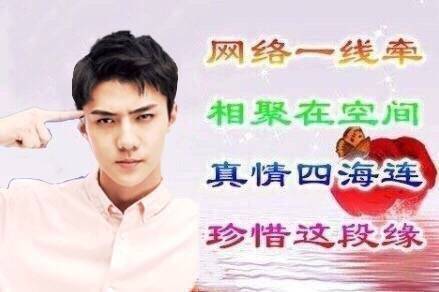 明星土味表情包合集
