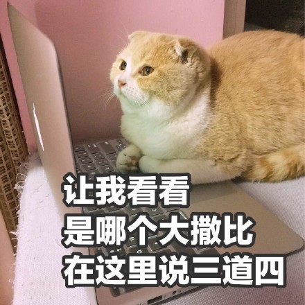 挖到一套软萌小猪喵表情包