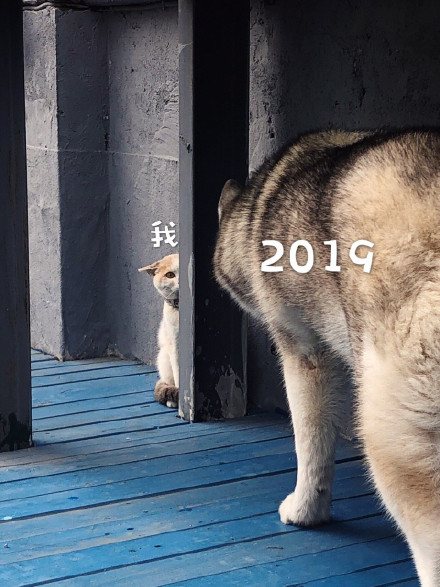 专属新年表情包来啦，快用它送祝福