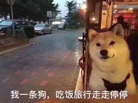 七夕单身狗专属表情包，戳中你的心巴