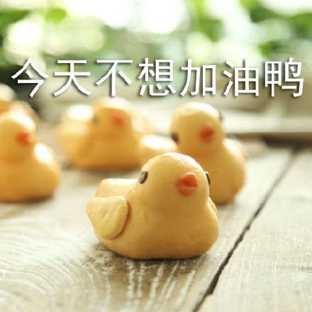 一弹鸭鸭表情包来啦！超全可爱鸭鸭表情合集