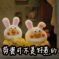 鹦鹉兄弟动图合集来啦！聊天斗图不用愁