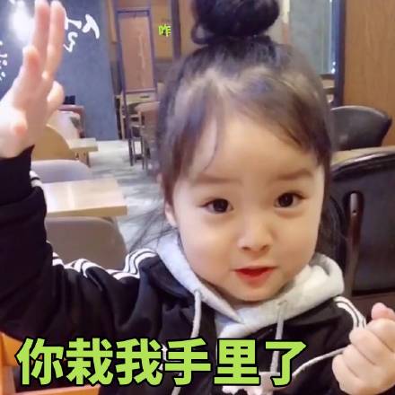 超萌权律二表情包合集